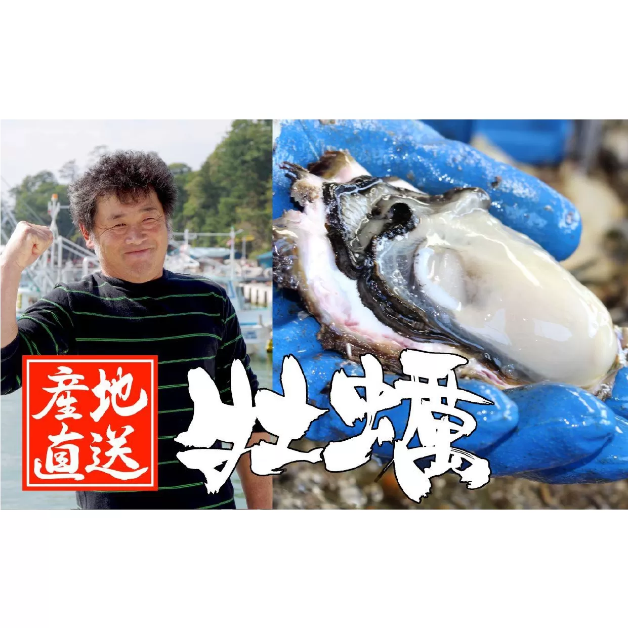 牡蠣 むき身 1kg ( 500g×2袋 ) 中サイズ 加熱用 【 かき カキ 剥き身 冷蔵 広田第十八玉丸 】 2024年11月上旬頃から順次発送