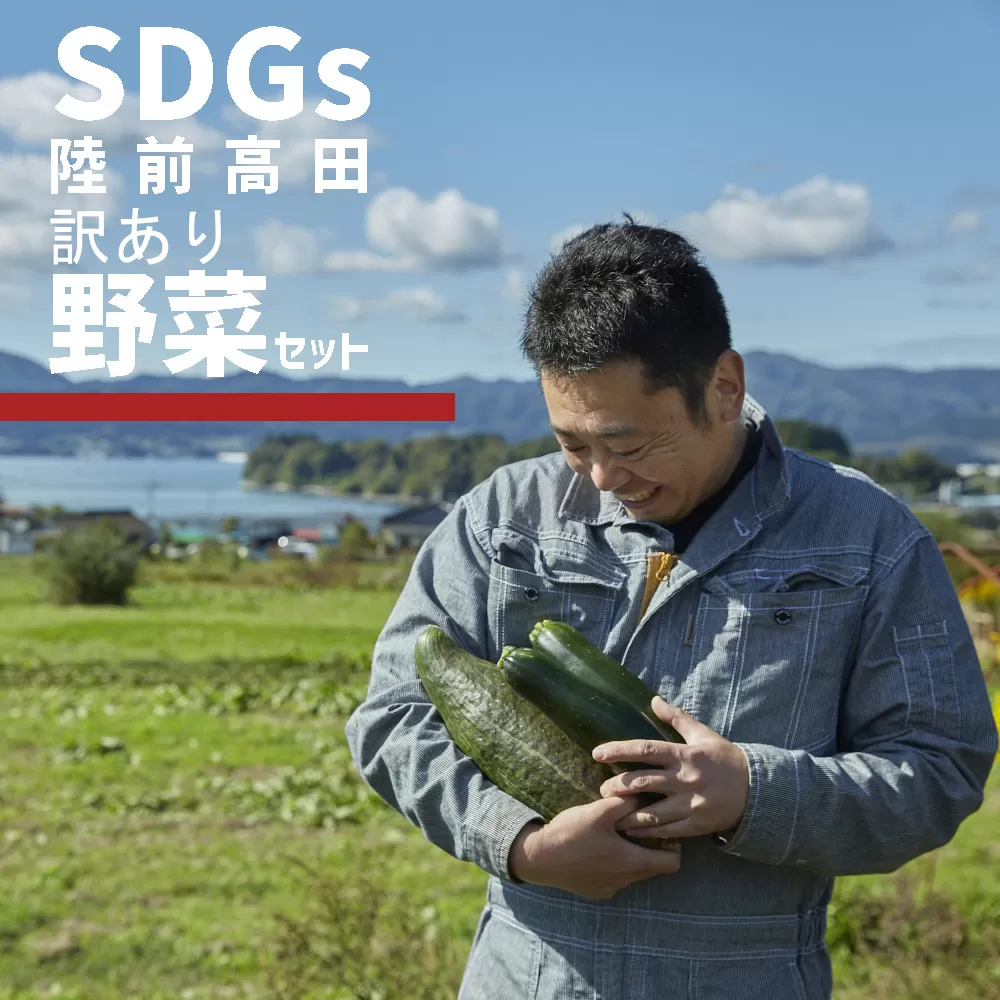 訳あり 野菜セット 約3～4種類 農家のおすそわけ 【 おためし 野菜 詰め合わせ 産地直送 旬 新鮮 】