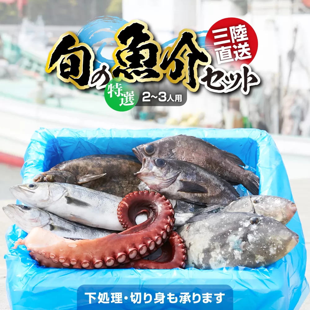 [特選]三陸海の恵み詰め合わせ[下処理済](2〜3人用) 鮮魚セット [ 鮮魚 三陸産 海鮮 新鮮 お刺身 産地直送 おさかな お魚 旬 人気 お手軽 ]RT841-下処理する