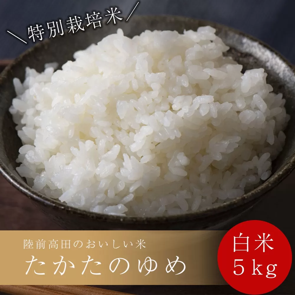 令和6年産 特別栽培米  白米 5kg 〈 品種：たかたのゆめ 〉【 オリジナル ブランド米 冷めてもおいしい お弁当 おにぎり ギフト 】