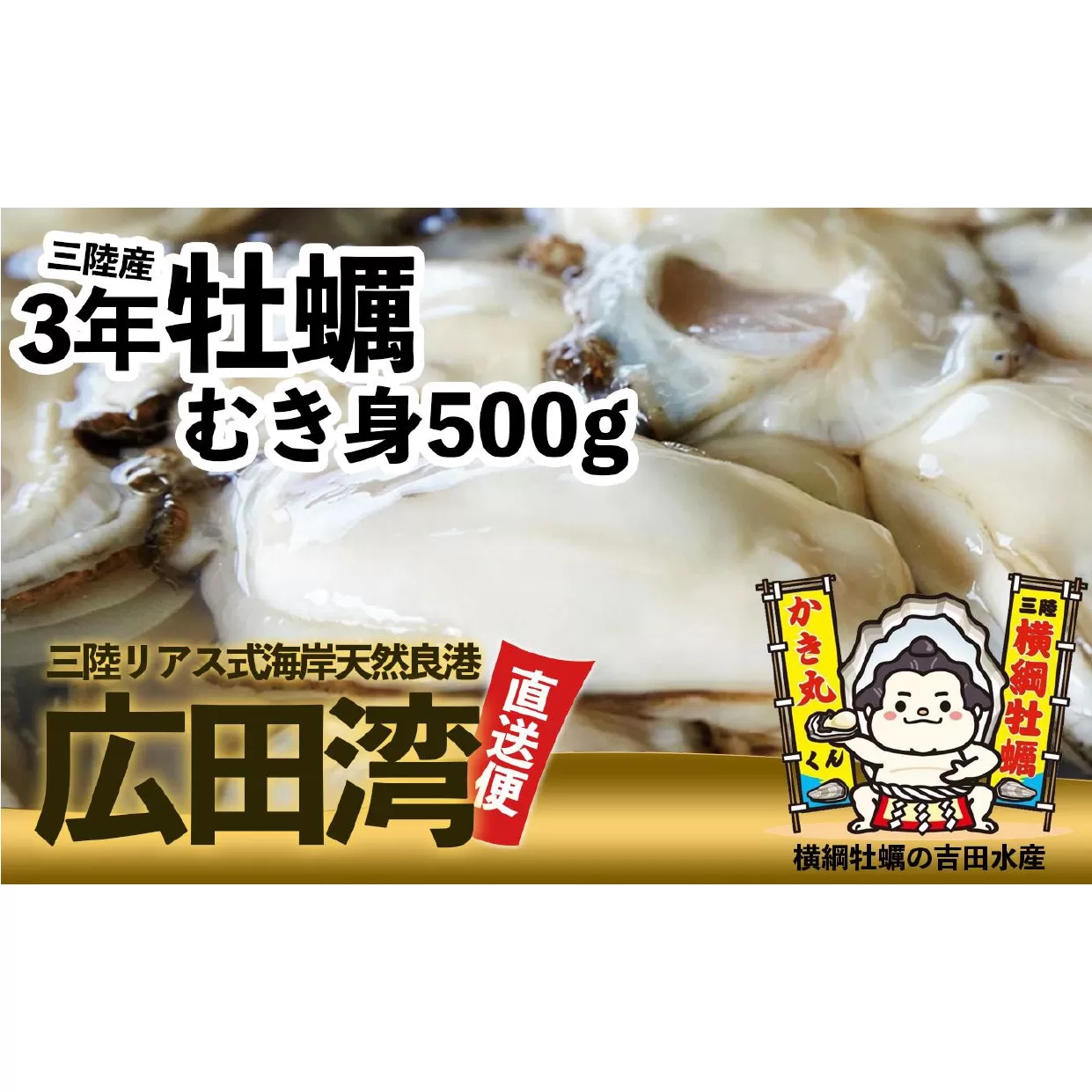 横綱牡蠣！吉田水産のむき身牡蠣 Lサイズ 500g 数量限定 【 むき身 牡蠣 かき 大粒 小分け 加熱用 冷蔵 三陸 リアス海岸 広田湾 3年牡蠣 】RT816