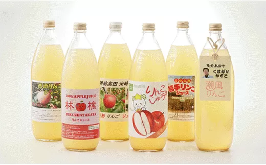 【先行予約】飲み比べ 潮風りんごジュース 1L×6本 セット 【 りんご 飲料 フルーツジュース ストレート 100％ ギフト 岩手 陸前高田 】2025年1月から順次発送予定 RT231