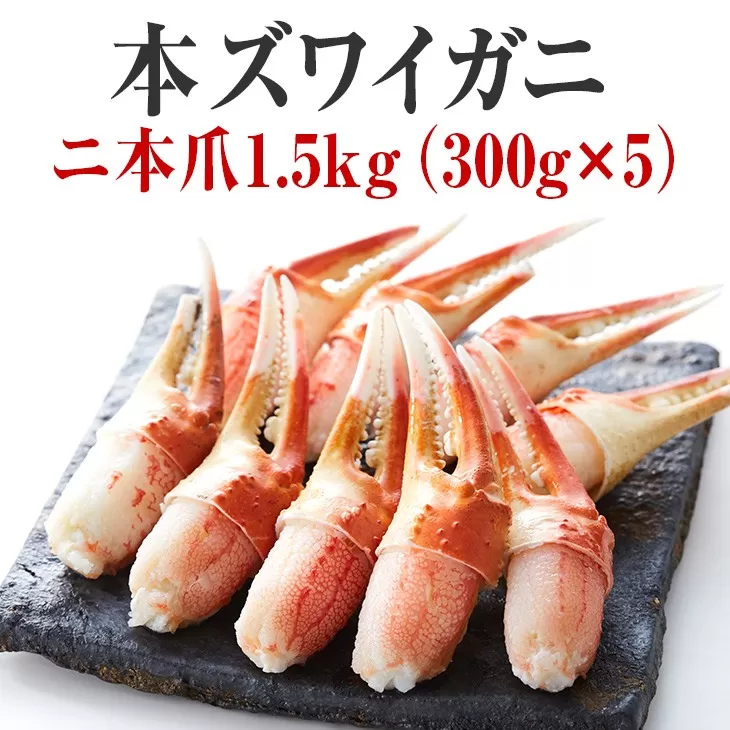 【本ズワイガニ】二本爪1.5kg (300g×5パック) 【 ずわいがに むき身 ずわい蟹 ズワイ蟹 ずわい ズワイ 蟹 カニ カニ爪 蟹爪 カニ爪肉 ズワイガニ ボイル 冷凍 】