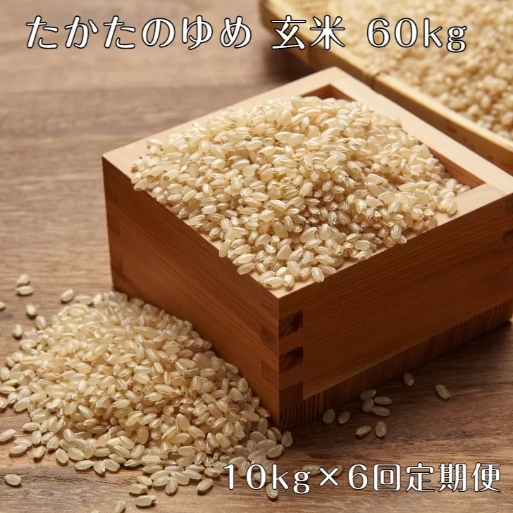 【6ヶ月定期便】 令和6年産 新米 玄米 10kg×6ヶ月お届け 〈 品種：たかたのゆめ 〉【 オリジナル ブランド米 冷めてもおいしい お弁当 おにぎり ギフト 】