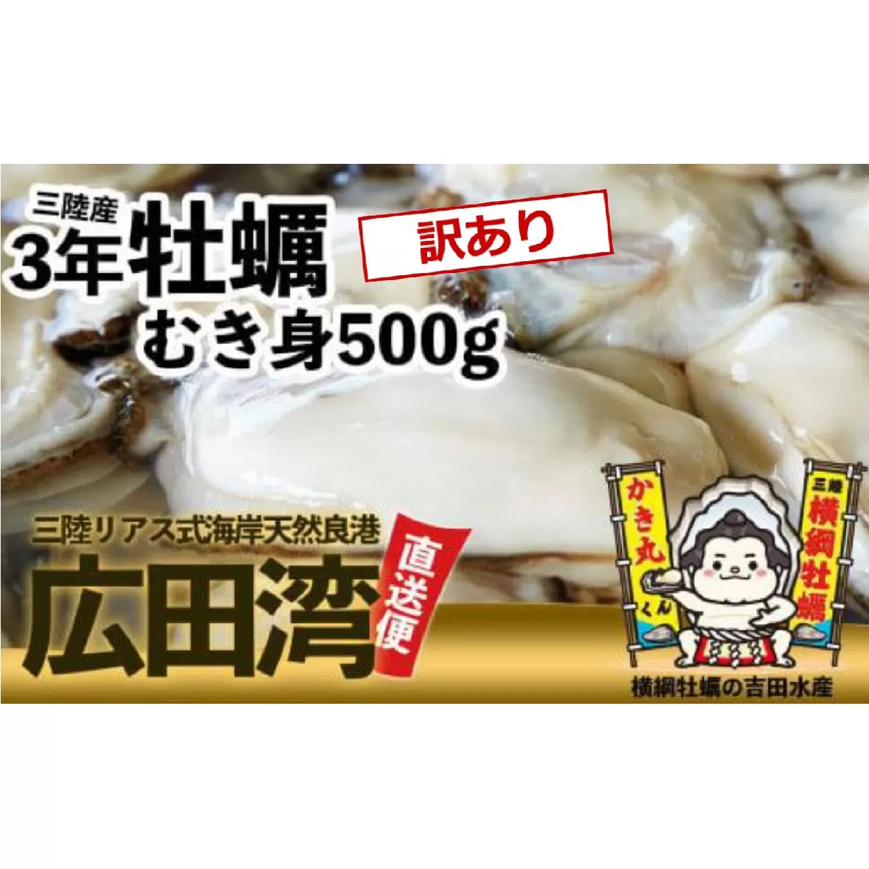 【訳あり】横綱牡蠣！吉田水産のむき身牡蠣500g 〈規格外/不揃い〉【 牡蠣 かき 冷蔵 三陸 リアス海岸 広田湾 3年牡蠣 】RT2295