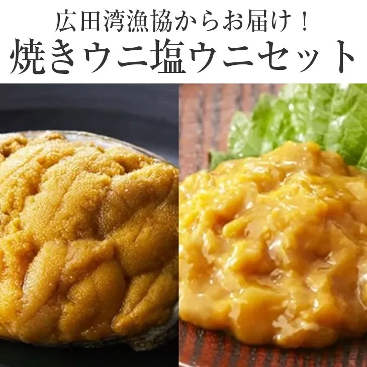 広田湾漁協からお届け！焼きウニ 塩ウニ の食べ比べセット 【 ミョウバン不使用 ウニ 雲丹 天然 濃厚 人気 魚介類 海産物 海の幸 三陸産 】 RT939