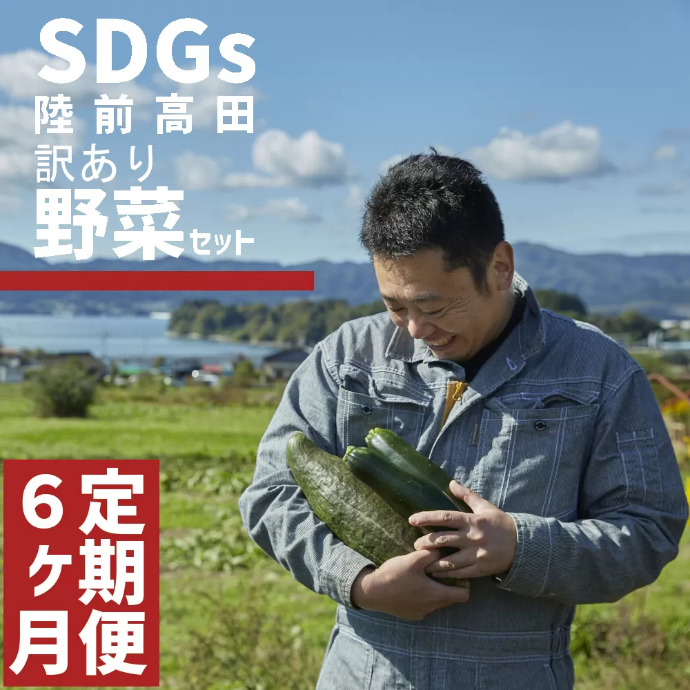 【定期便6ヶ月】訳あり 野菜セット 約3～4種類 農家のおすそわけ 【 おためし 野菜 詰め合わせ 産地直送 旬 新鮮 】