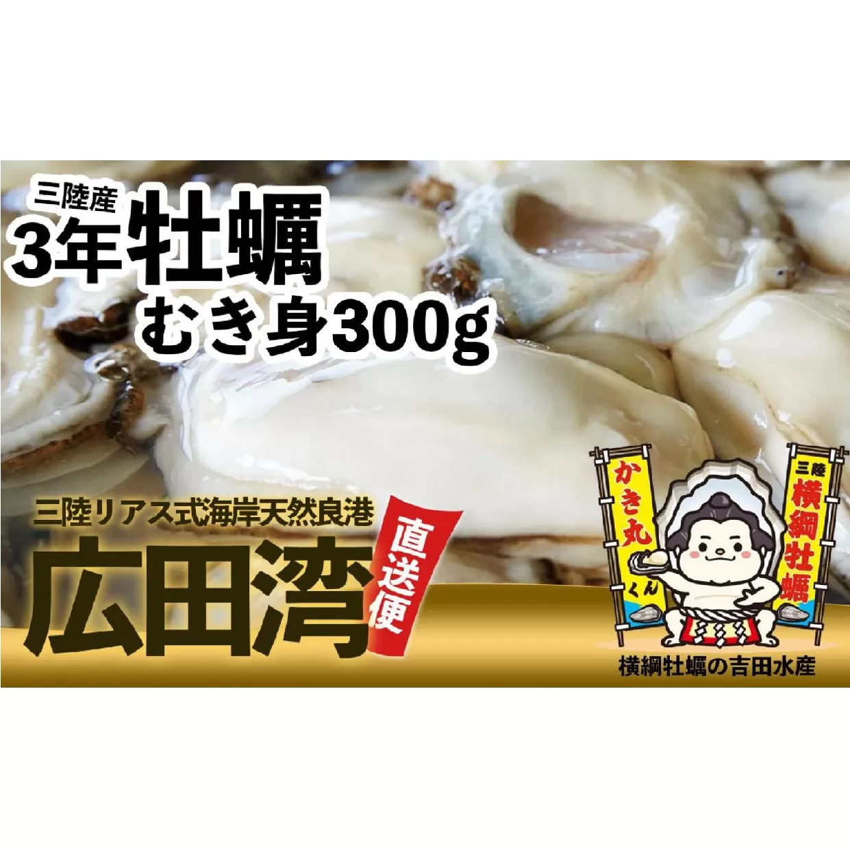 横綱牡蠣！吉田水産のむき身牡蠣 Mサイズ 300g おためし 【 むき身 牡蠣 かき 大粒 小分け 加熱用 冷蔵 三陸 リアス海岸 広田湾 3年牡蠣 】RT2648