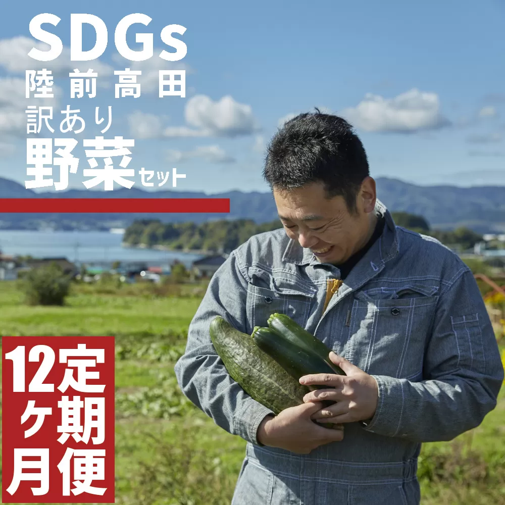 【定期便12ヶ月】訳あり 野菜セット 約3～4種類 農家のおすそわけ 【 おためし 野菜 詰め合わせ 産地直送 旬 新鮮 】