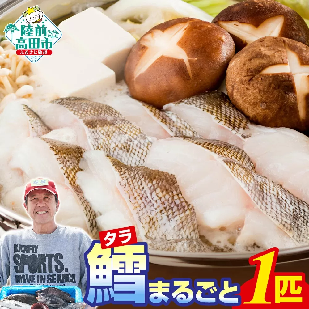 産地直送 タラ まるごと 1匹 約4kg 〈下処理済〉【 たら タラ 鱈 鮮魚 海鮮 魚介 冷蔵 旬 冬 人気 鍋 料理 】 RT968