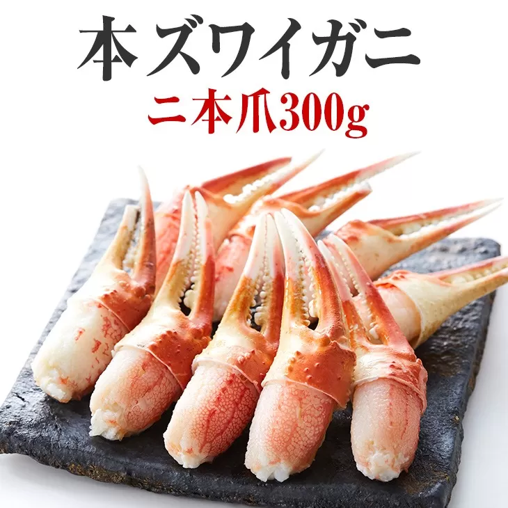 【本ズワイガニ】二本爪300g×1パック 【 ずわいがに むき身 ずわい蟹 ズワイ蟹 ずわい ズワイ 蟹 カニ カニ爪 蟹爪 カニ爪肉 ズワイガニ ボイル 冷凍 】