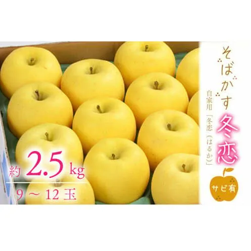 【先行予約】数量限定 そばかす「冬恋」（自家用「冬恋」 サビ有） 約2.5kg【冬恋研究会】(AI009)