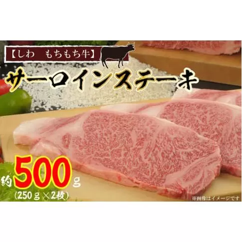 黒毛 和牛【しわ　もちもち牛】 サーロイン ステーキ 約500ｇ（250ｇ×2枚） (AM002 -1)