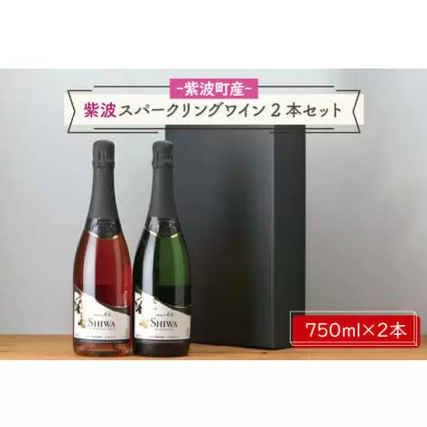 AL065-1　紫波スパークリングワイン２本セット（白・ロゼ）