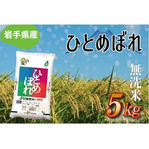 ★令和6年産★【無洗米】岩手県産ひとめぼれ5kg (AE173)