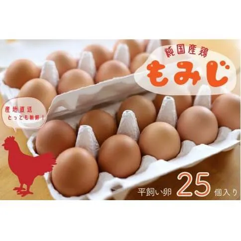 【純国産鶏もみじ】平飼い卵25個入り (AJ005-2)