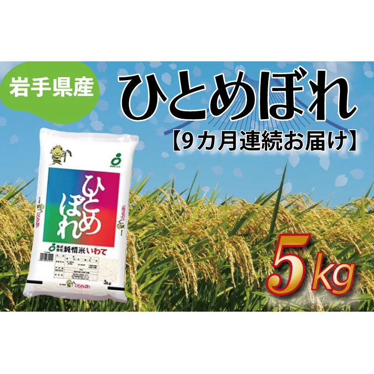 ★令和6年産★【9ヶ月定期便】ひとめぼれ5kg 岩手県産 (AE177)