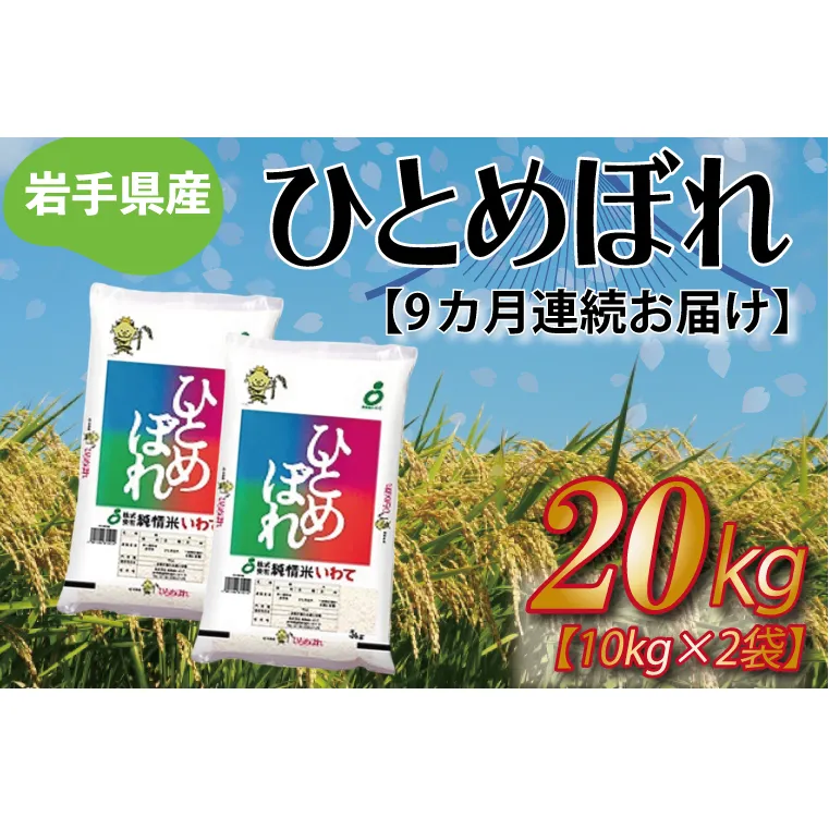 ★令和6年産★【9ヶ月定期便】ひとめぼれ20kg（10kg×2袋） 岩手県産 (AE183)