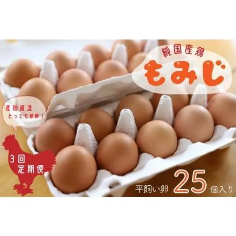 【純国産鶏もみじ】平飼い卵25個入り【3ヶ月連続お届け】 (AJ006-2)