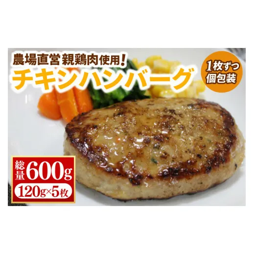 【浅沼養鶏場】チキンハンバーグ 約120g×5枚 (約600g) 農場直営親鶏肉使用 (AJ017)