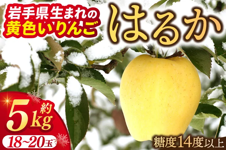 りんご はるか 約5kg 糖度14度以上【先行予約 12月発送】数量限定 岩手県産 りんご リンゴ 林檎 はるか 純情はるか フルーツ くだもの 果物 【冬恋研究会】 (AI015)