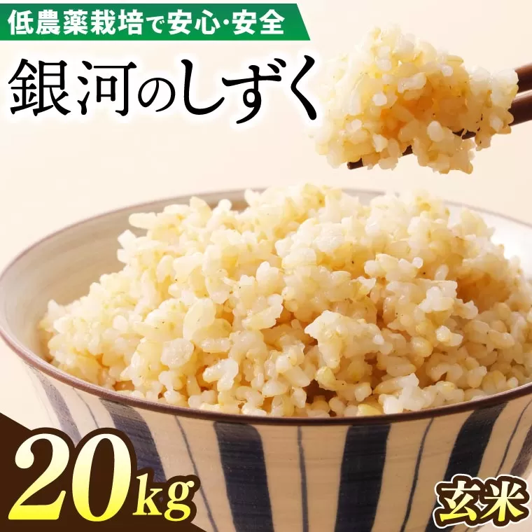 【新米 先行予約】令和6年産 銀河のしずく 20kg (玄米) 低農薬栽培米 生産者直送 生産地域限定ブランド米 (EI009)