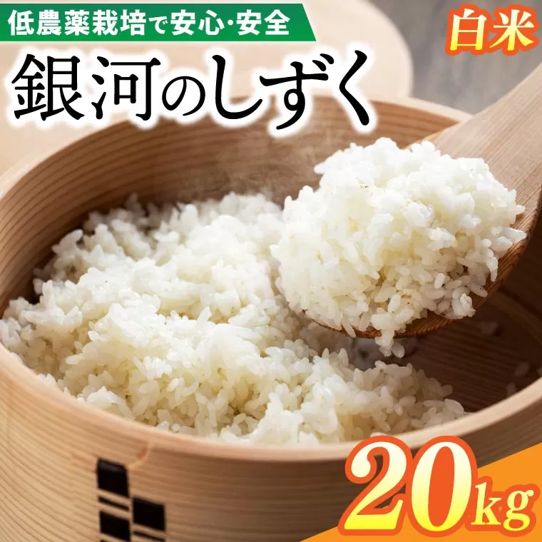 【新米 先行予約】令和6年産 銀河のしずく 20kg (精米) 低農薬栽培米 生産者直送 生産地域限定ブランド米 (EI004)