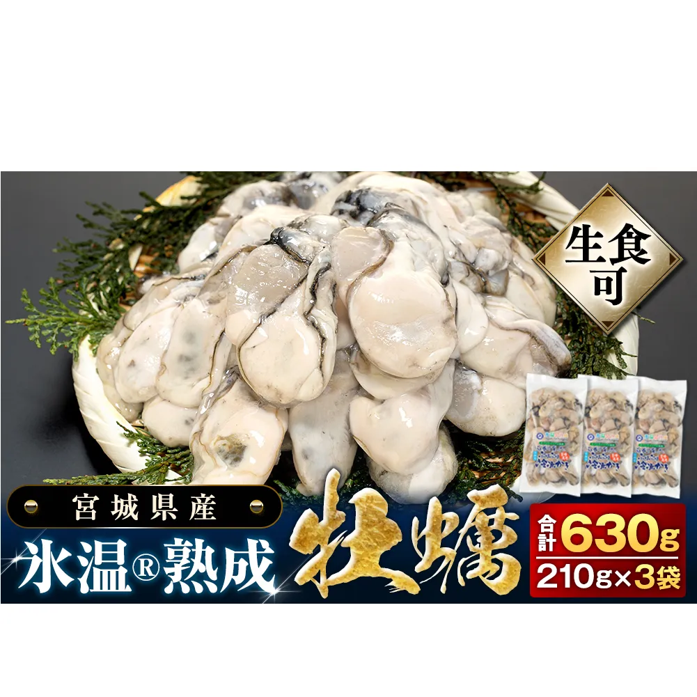 牡蠣 【生食用】 氷温熟成 冷凍牡蠣 生食用 210g×3袋 (630g) 宮城県産氷温熟成 冷凍牡蠣 生食用 宮城県産 ｜ 生で食べられる 牡蠣 小分け 冷凍かき 冷凍カキ 冷凍牡蠣 かきむき身 カキむき身 牡蠣むき身 生かき 生カキ 生牡蠣　冷凍かき 冷凍カキ 冷凍牡蠣 かきむき身