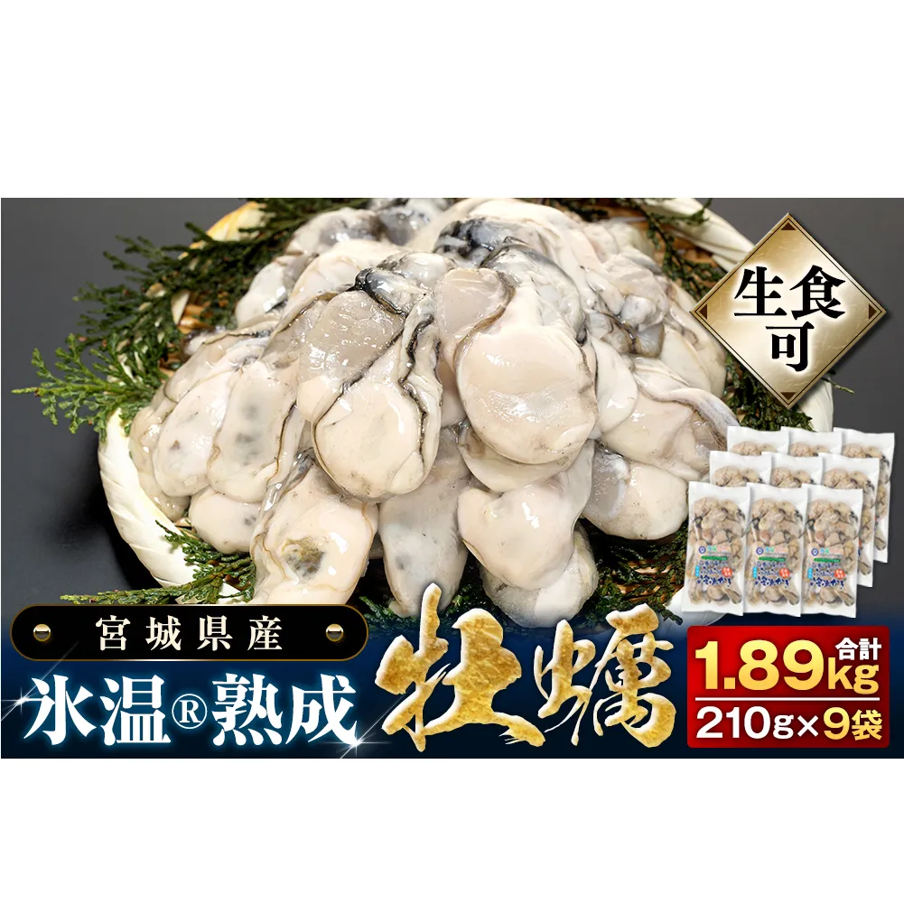 牡蠣 【生食用】氷温熟成 冷凍牡蠣 生食用 210g×9袋 (約1.8kg) 宮城県産 小分け 氷温熟成 冷凍牡蠣 生食用 宮城県産 ｜ 生で食べられる 牡蠣 小分け 冷凍かき 冷凍カキ 冷凍牡蠣 かきむき身 カキむき身 牡蠣むき身 生かき 生カキ 生牡蠣　冷凍かき 冷凍カキ 冷凍牡蠣