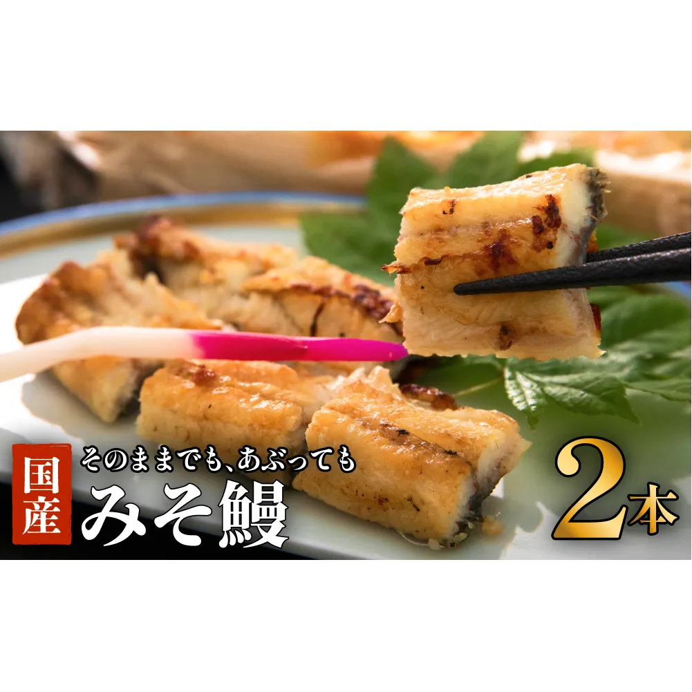 みそ鰻 2本入 鰻 活き鰻 活鰻 鰻白焼き 味噌うなぎ  土用丑の日 ウナギ 活ウナギ 父の日 味噌漬け特集 味噌漬 みそ漬 ミソ漬 グルメ 早起き せっかく うなぎ うなぎ うなぎ うなぎ うなぎ うなぎ うなぎ うなぎ うなぎ うなぎ うなぎ うなぎ うなぎ うなぎ うなぎ うなぎ