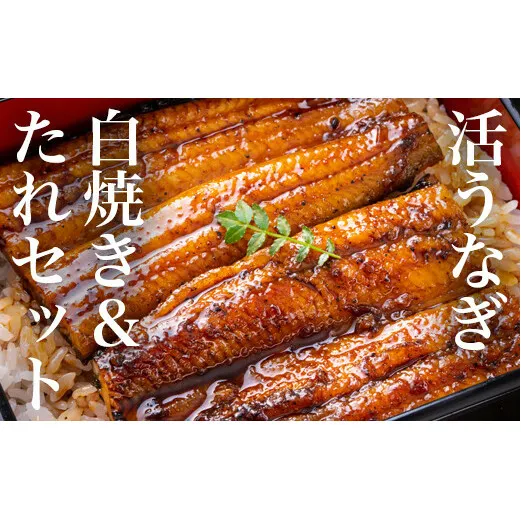 うなぎ 鰻 白焼き鰻 お店の味を楽しめる 国産うなぎセット （うな重3人前：約330g）国産鰻 鰻蒲焼 うなぎ蒲焼 ウナギ蒲焼 鰻たれ うなぎたれ ウナギたれ 鰻重 ウナ重 活鰻 活うなぎ 活ウナギ 父の日 うなぎ うなぎ    うなぎ うなぎ うなぎ うなぎ 鰻 鰻 鰻 鰻 鰻 鰻 鰻