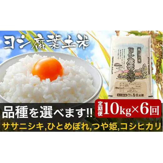 【新米予約】令和6年産＜定期便＞ヨシ腐葉土米 精米60kg（10kg×6回発送）ひとめぼれ