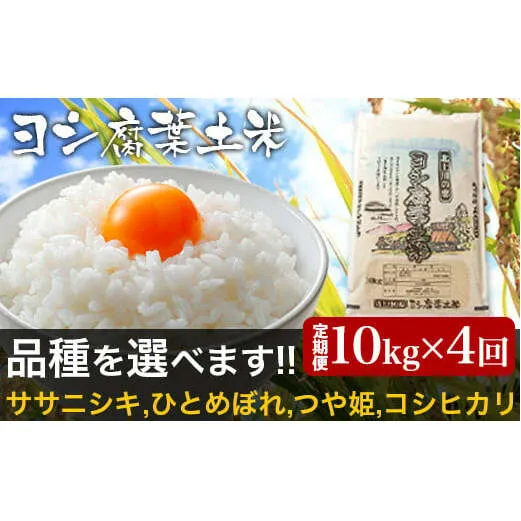 【新米予約】令和6年産＜定期便＞ヨシ腐葉土米 精米40kg（10kg×4回発送）ひとめぼれ