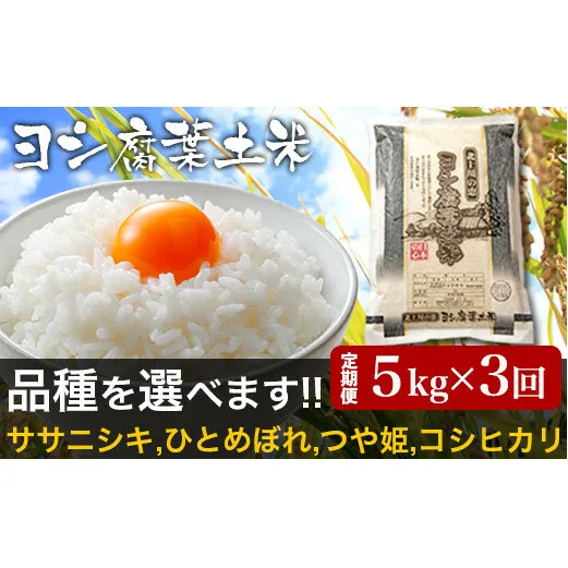 【新米予約】令和6年産＜定期便＞ヨシ腐葉土米 精米15kg（5kg×3回発送）ササニシキ