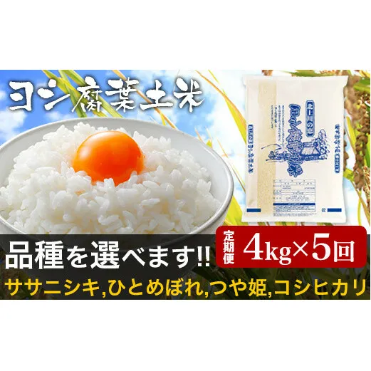 【新米予約】令和6年産＜定期便＞ヨシ腐葉土米 精米20kg（4kg×5回発送）つや姫