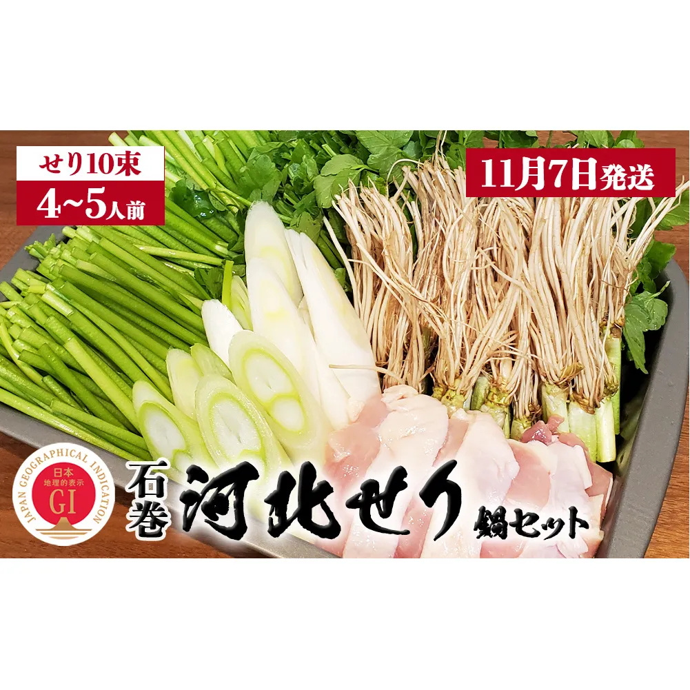 【11月7日発送】せり鍋 セット 4-5人前　せり 長ねぎ パックご飯 スープ 鶏肉 セリ セリ鍋 河北せり 野菜 鍋