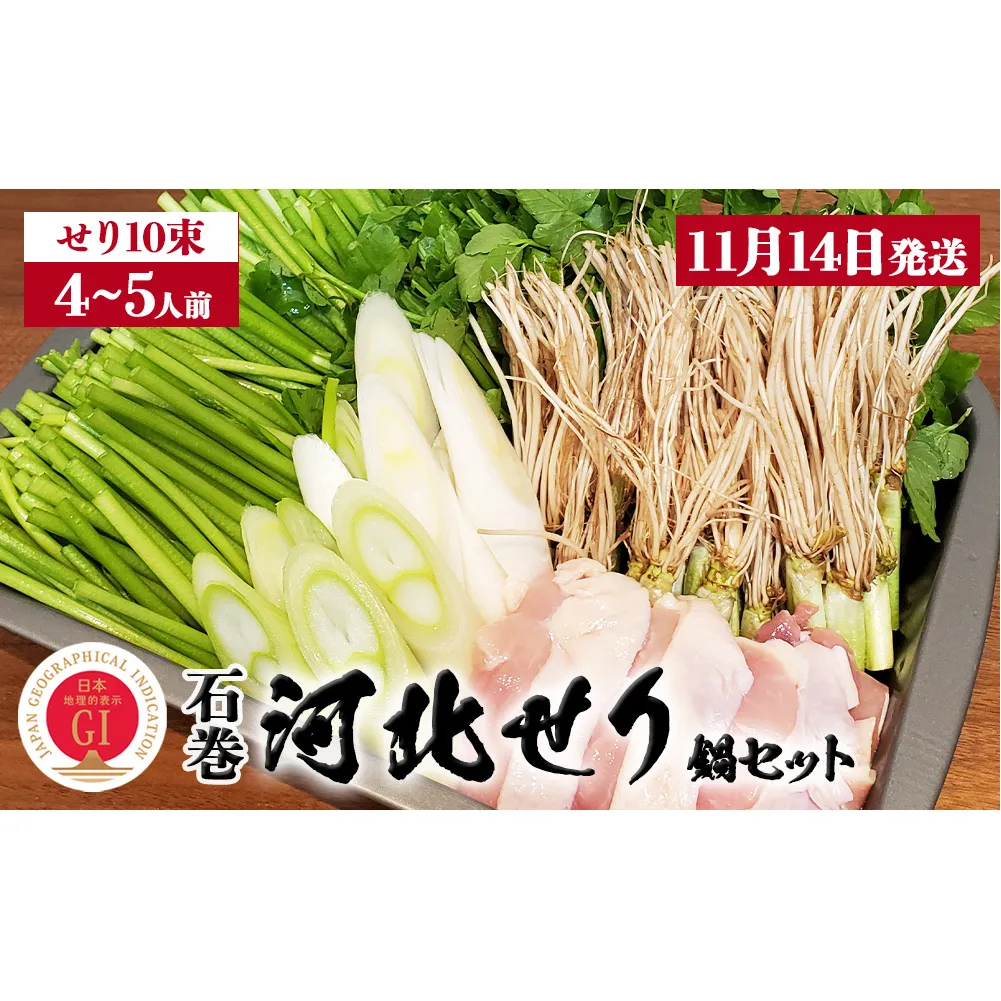 【11月14日発送】せり鍋 セット 4-5人前 せり 長ねぎ パックご飯 スープ 鶏肉 セリ セリ鍋 河北せり 野菜 鍋