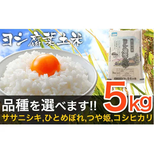 令和6年産 ヨシ腐葉土米 特別栽培米 ササニシキ （精米5kg）節減対象農薬：栽培期間不使用