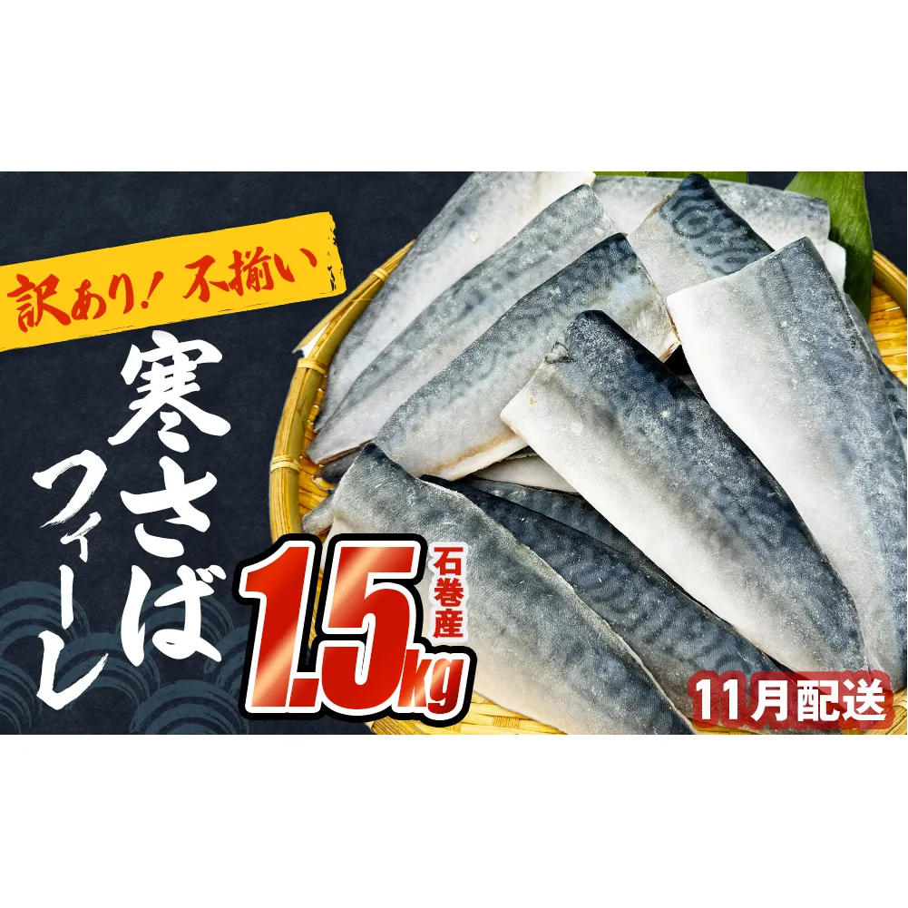 さば 〈 訳あり 〉11月配送 宮城県産 寒さば フィーレ 無塩 1.5kg 冷凍　魚 青魚 鯖 切身 焼魚 煮魚 わけあり 不揃い ご家庭用 食塩無添加 国産 鯖フィレ サバフィーレ 切り身 バラバラ冷凍 鯖の味噌味 宮城県 石巻市