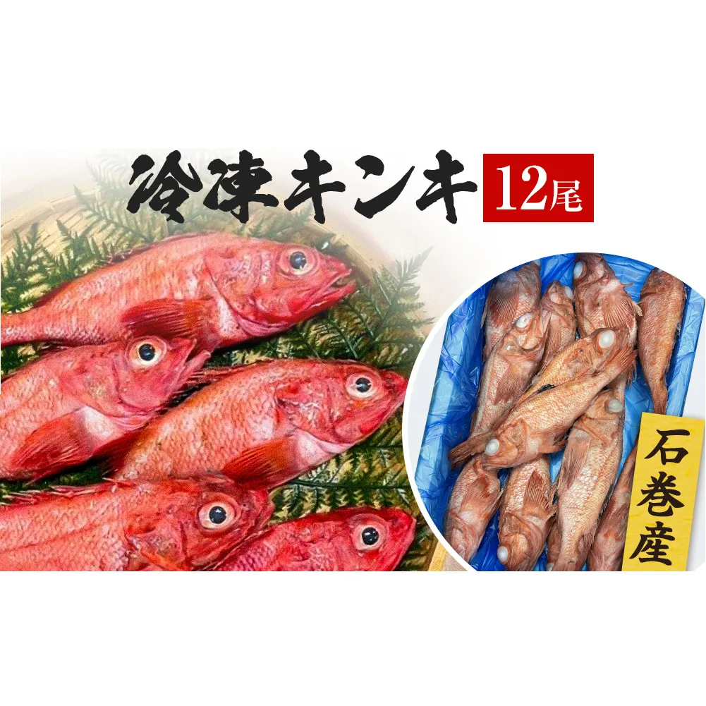 石巻市産キンキ 12尾 冷凍 煮付 唐揚げ 吉次 魚 高級魚 キチジ 石巻