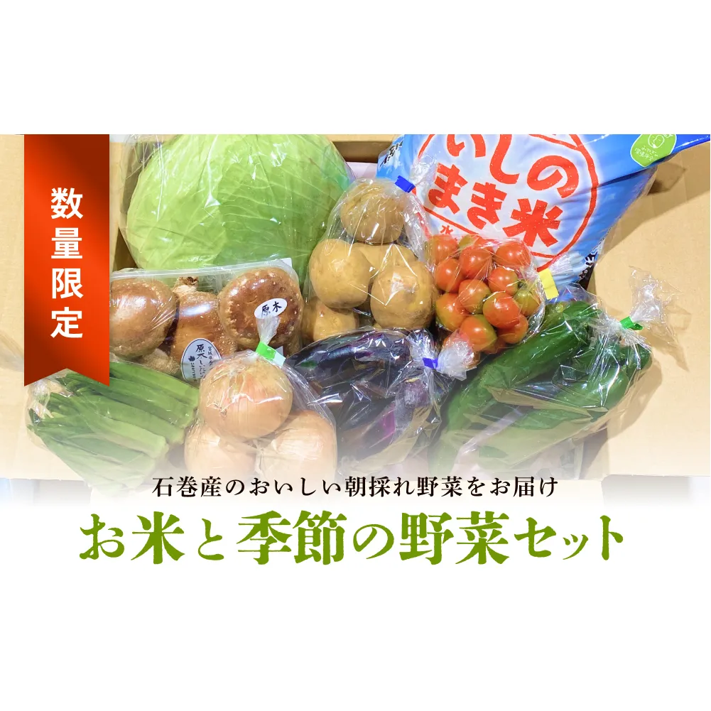 ＜数量限定＞石巻産 お米と季節の野菜セット 朝採れ 旬の野菜 季節の野菜 お野菜 詰め合わせ 食材 新鮮