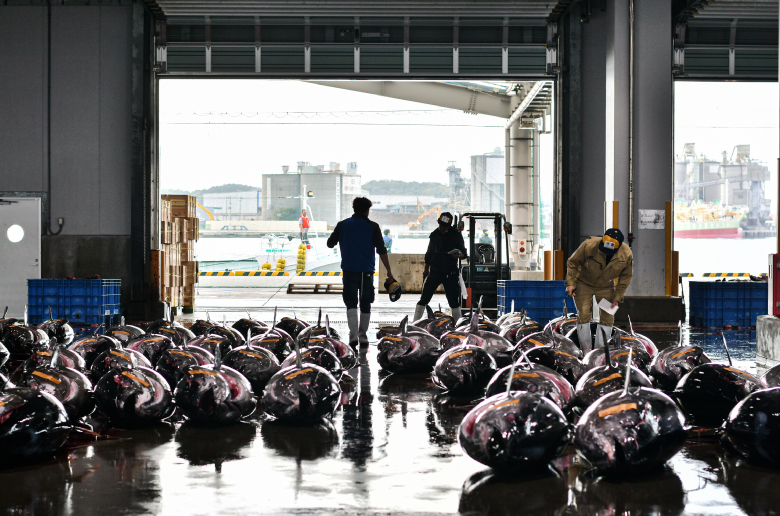 日本有数の生産量