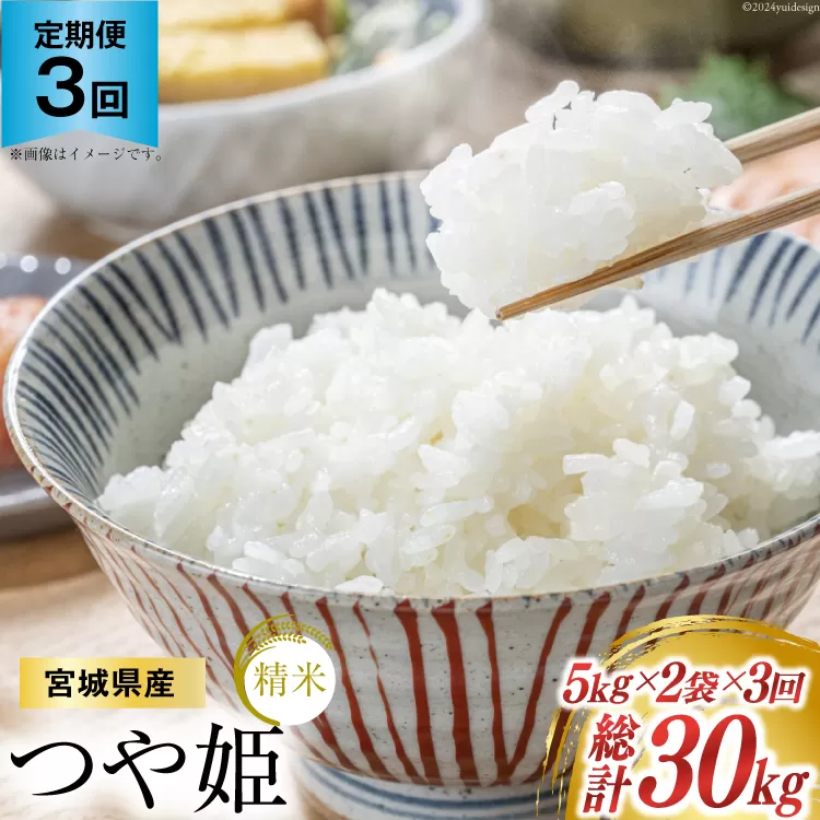 3回 定期便 宮城県産 つや姫 10kg (5kg×2)×3回 総計30kg [菊武商店 宮城県 気仙沼市 20564495] 米 精米 こめ コメ 白米  3ヶ月