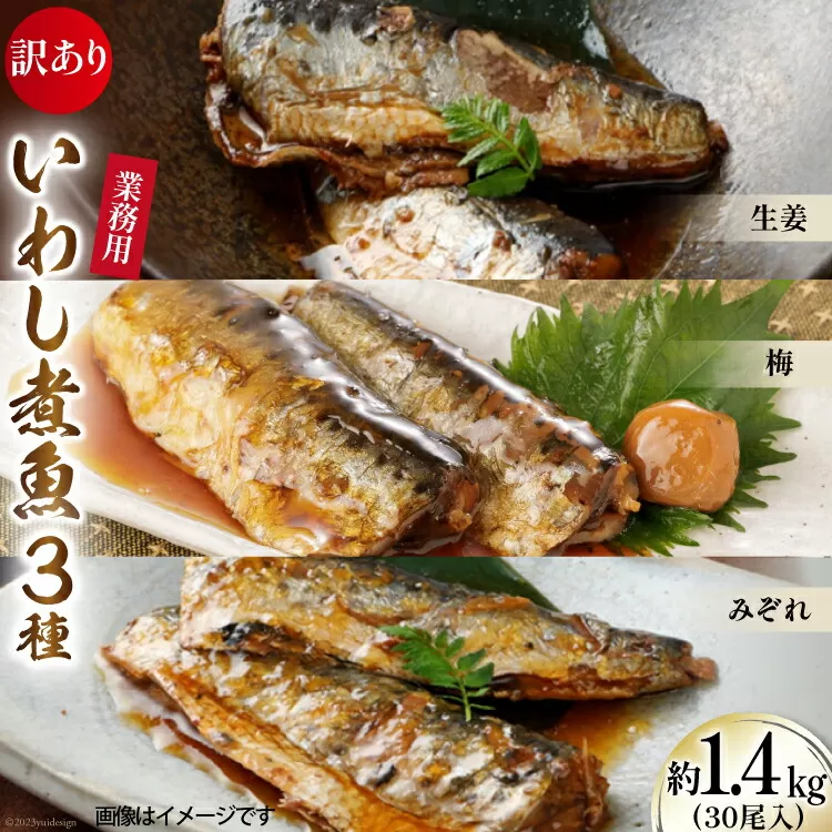 訳あり 業務用 いわし煮魚 3種×10尾 計30尾入 約1.4kg 簡易包装 [カネダイ 宮城県 気仙沼市 20564345] 生姜煮 梅肉煮 みぞれ煮 国産 冷凍 訳アリ 海鮮 魚 冷凍 おかず 焼き魚 簡単 時短 高級 魚介 海鮮 