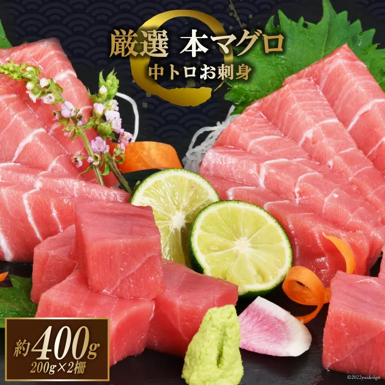 まぐろ 本マグロ背トロ 約400g(200g×2柵) [豊洋海産流通 宮城県 気仙沼市 20563371] 中トロ 刺身 冷凍 