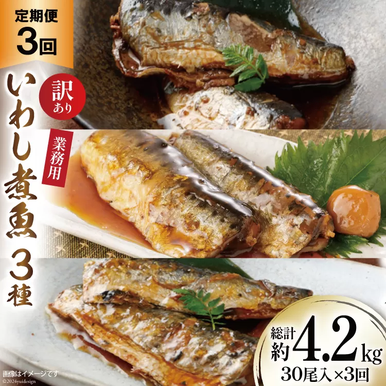 定期便 《3ヶ月連続お届け》 訳あり 業務用 いわし煮魚 (3種×10尾 計30尾入 約1.4kg)×3回 総重量約4.2kg [カネダイ 宮城県 気仙沼市 20563280] いわし 生姜煮 梅肉煮 みぞれ煮