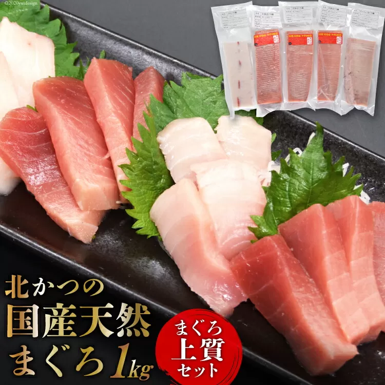 北かつのマグロ上質セット (マグロ中トロ 200g マグロ上質赤身 200g×2 メカジキ 200g びんちょう 200g）合計1kg [北かつ商事 宮城県 気仙沼市 20563511] 魚 鮪 マグロ 中トロ まぐろ 赤身 刺身 魚介 メカジキ 冷凍 