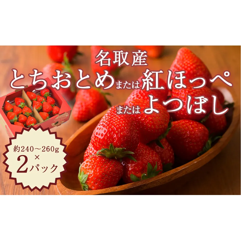 名取産 いちご 約240～260g×2パック