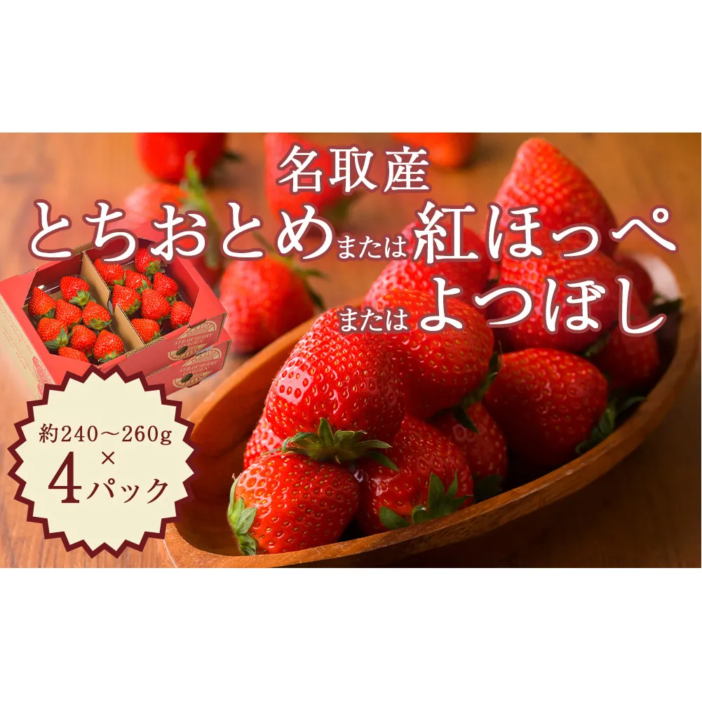 名取産 いちご 約240～260g×4パック