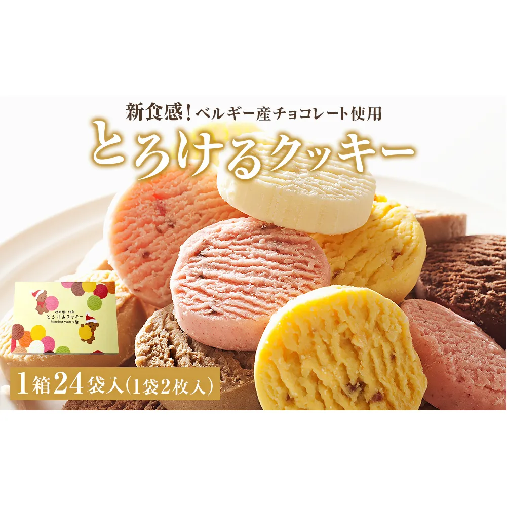 アルパジョン 新食感 ！ とろける クッキー 24袋入 ベルギー産 チョコレート 使用